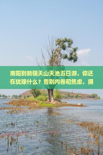 南阳到新疆天山天池五日游