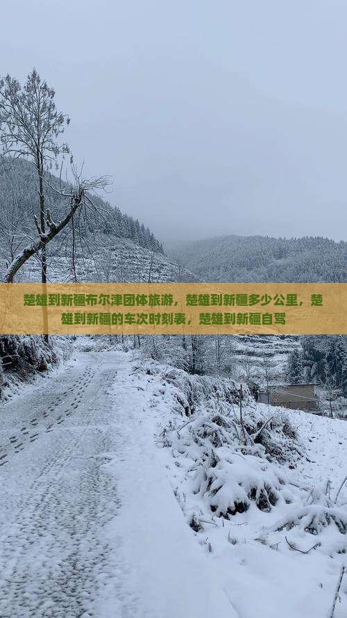 楚雄到新疆布尔津团体旅游
