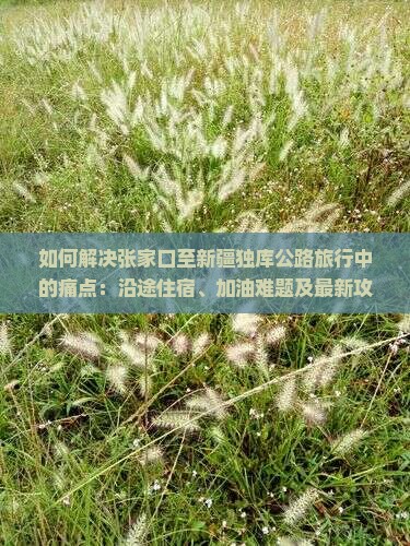 如何解决张家口至新疆独库公路旅行中的痛点：沿途住宿、加油难题及最新攻略秘籍？