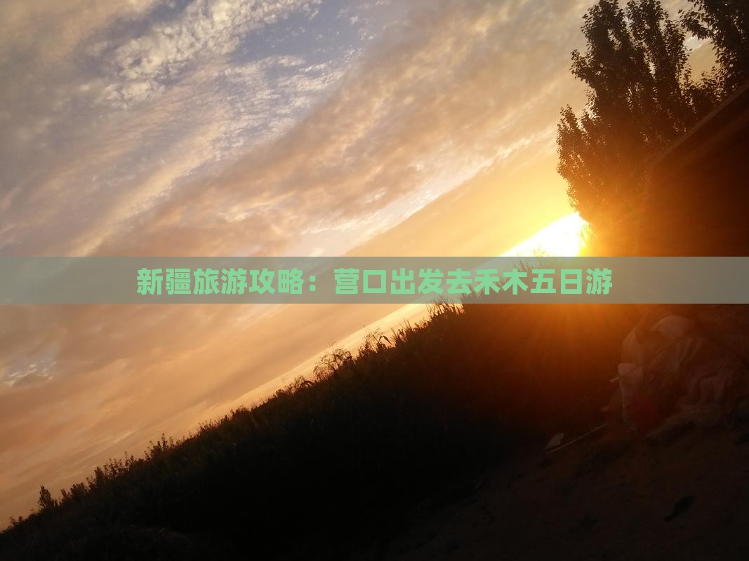 新疆旅游攻略：营口出发去禾木五日游