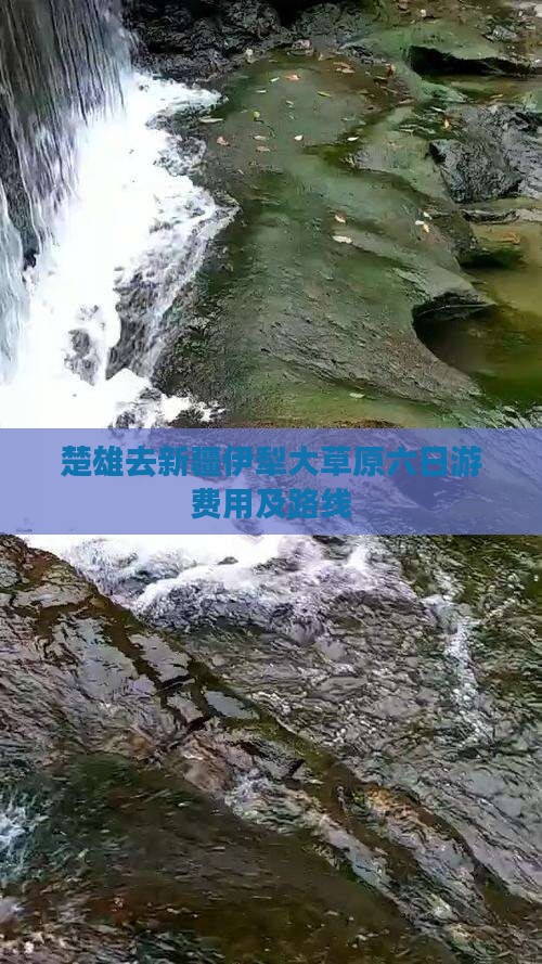 楚雄去新疆伊犁大草原六日游费用及路线
