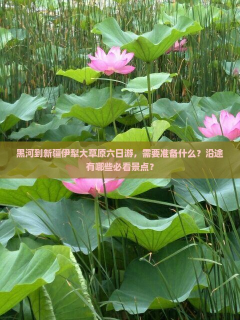 黑河到新疆伊犁大草原六日游，需要准备什么？沿途有哪些必看景点？
