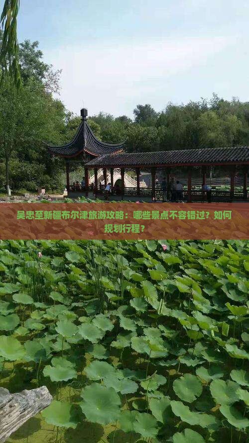 吴忠至新疆布尔津旅游攻略：哪些景点不容错过？如何规划行程？