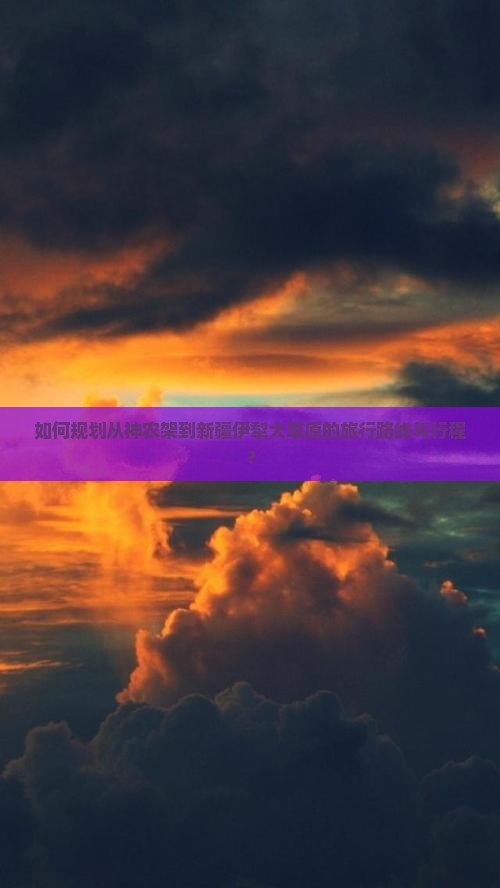 如何规划从神农架到新疆伊犁大草原的旅行路线与行程？