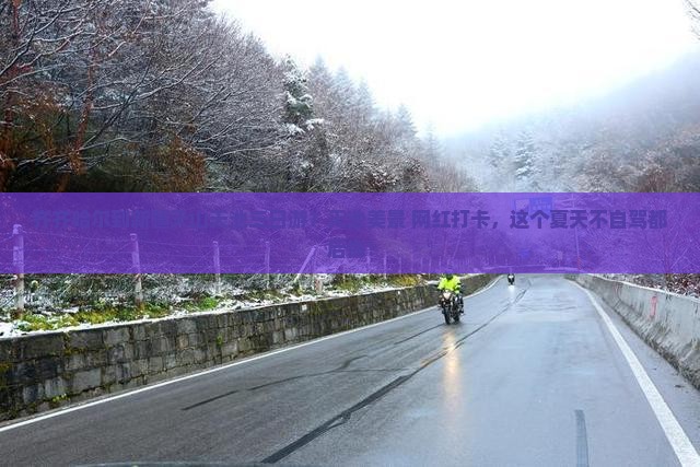 齐齐哈尔到新疆天山天池三日游？天池美景+网红打卡，这个夏天不自驾都后悔！