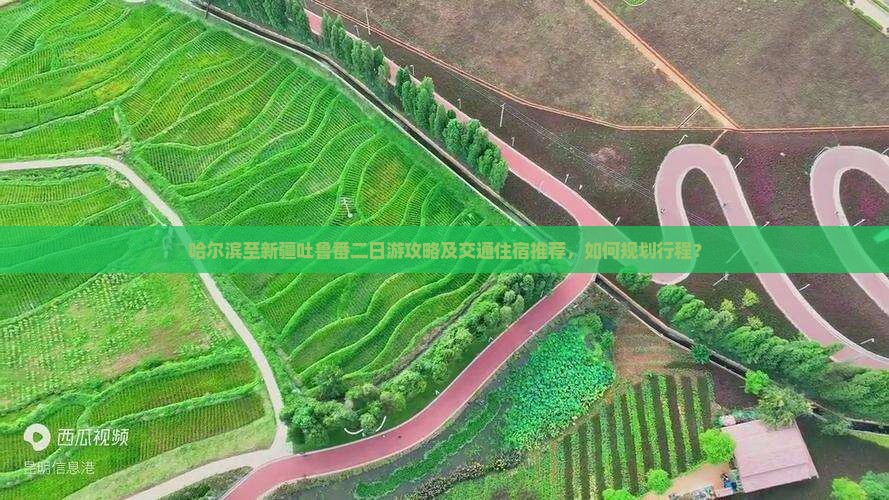 哈尔滨至新疆吐鲁番二日游攻略及交通住宿推荐，如何规划行程？
