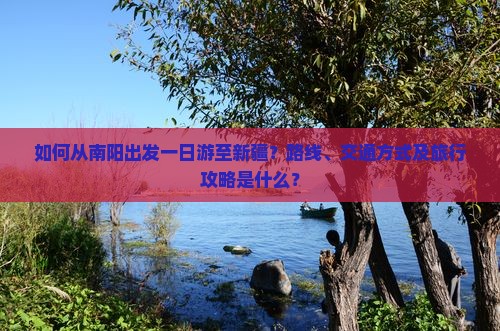 如何从南阳出发一日游至新疆？路线、交通方式及旅行攻略是什么？