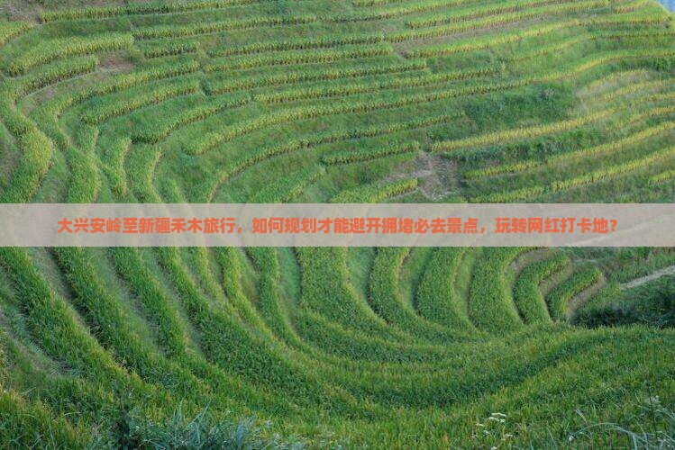 大兴安岭至新疆禾木旅行，如何规划才能避开拥堵必去景点，玩转网红打卡地？