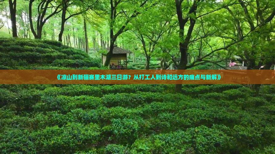 《凉山到新疆赛里木湖三日游？从打工人到诗和远方的痛点与新解》