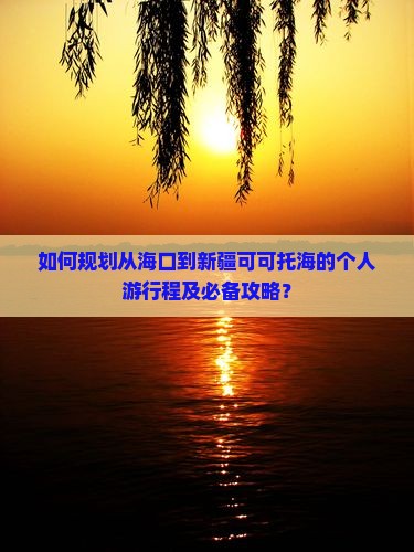 如何规划从海口到新疆可可托海的个人游行程及必备攻略？