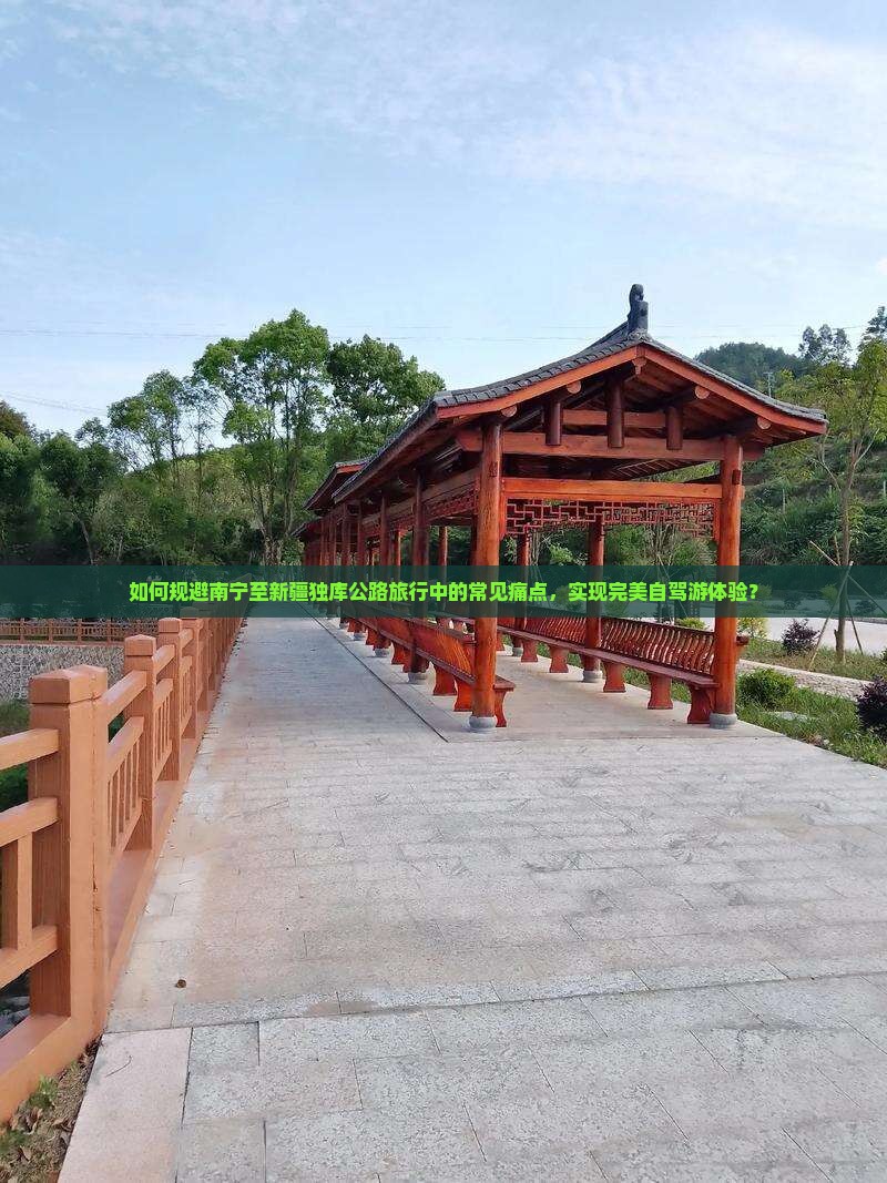 如何规避南宁至新疆独库公路旅行中的常见痛点，实现完美自驾游体验？