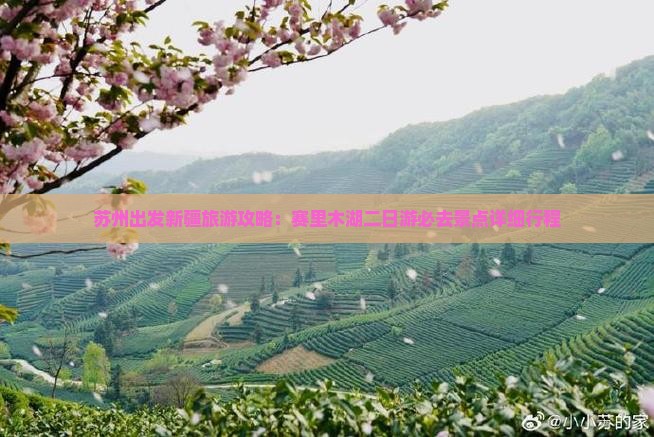 苏州出发新疆旅游攻略：赛里木湖二日游必去景点详细行程