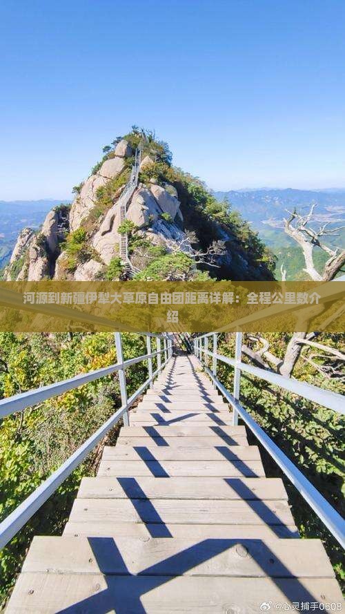 河源到新疆伊犁大草原自由团距离详解：全程公里数介绍