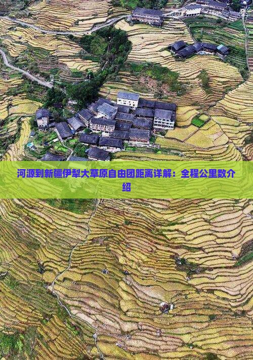 河源到新疆伊犁大草原自由团距离详解：全程公里数介绍