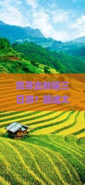 鹰潭去新疆三日游？路途太远怕累？快来看种草新疆喀纳斯网红景点！