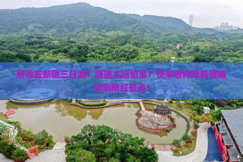 鹰潭去新疆三日游？路途太远怕累？快来看种草新疆喀纳斯网红景点！