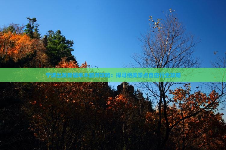宁波出发新疆禾木旅游攻略：探寻绝美景点自由行全攻略