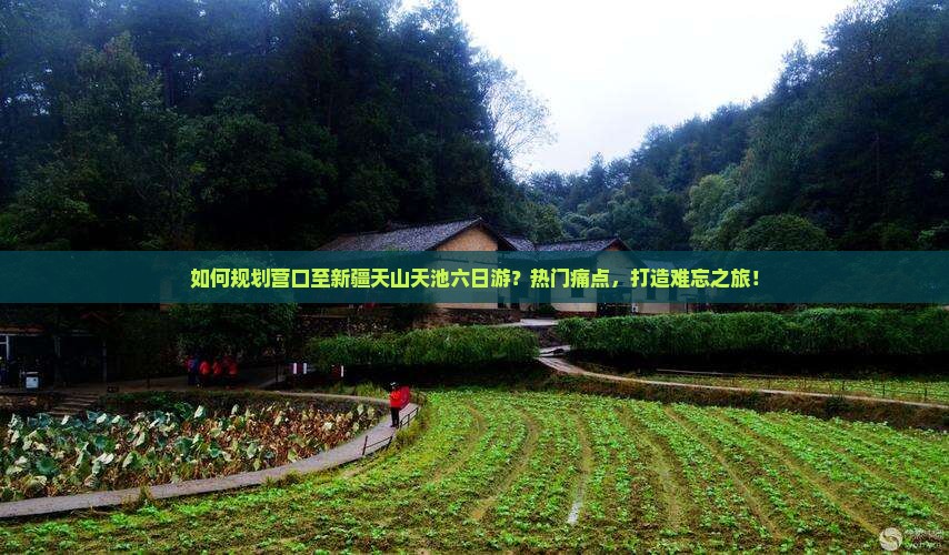 如何规划营口至新疆天山天池六日游？热门痛点，打造难忘之旅！