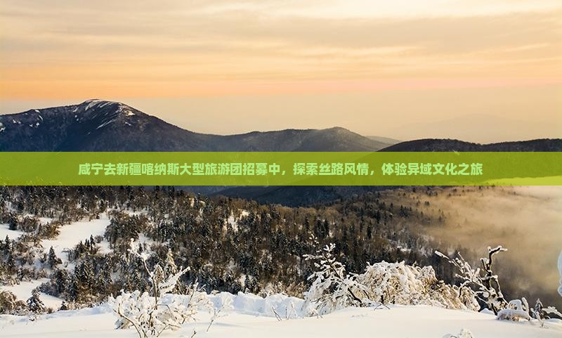 咸宁去新疆喀纳斯大型旅游团招募中，探索丝路风情，体验异域文化之旅