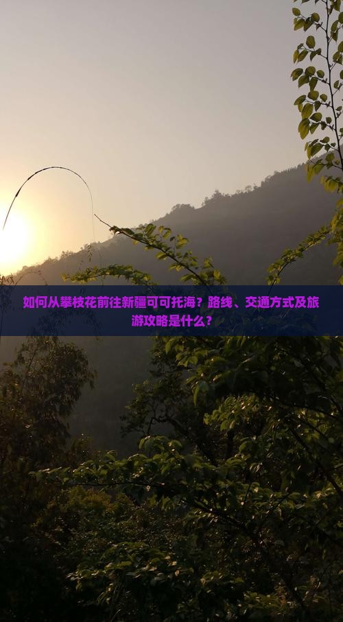 如何从攀枝花前往新疆可可托海？路线、交通方式及旅游攻略是什么？
