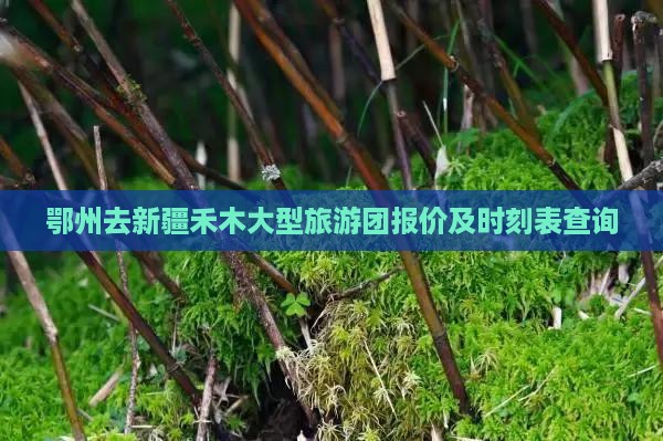 鄂州去新疆禾木大型旅游团报价及时刻表查询