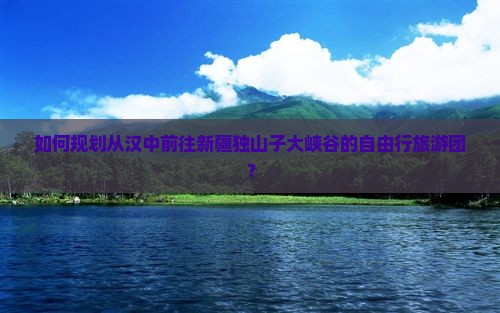 如何规划从汉中前往新疆独山子大峡谷的自由行旅游团？