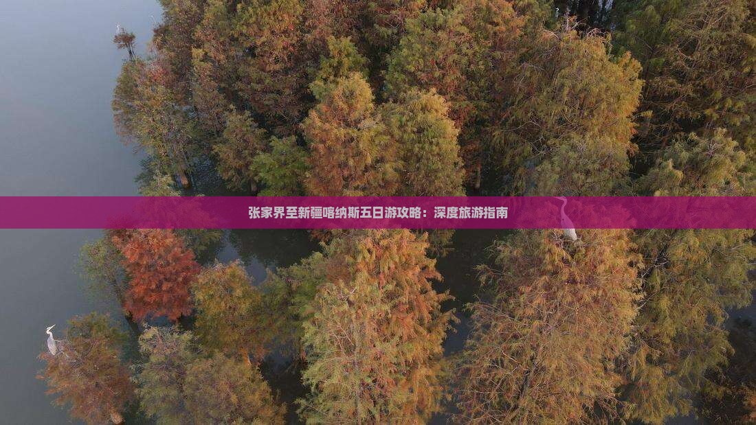 张家界至新疆喀纳斯五日游攻略：深度旅游指南
