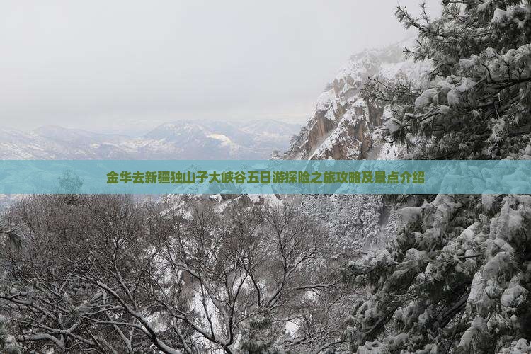 金华去新疆独山子大峡谷五日游探险之旅攻略及景点介绍