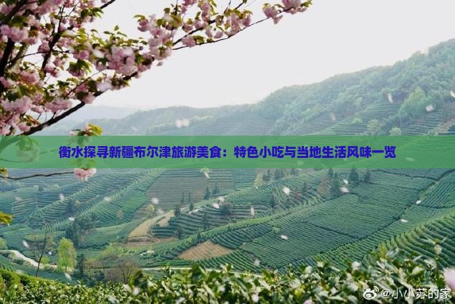 衡水探寻新疆布尔津旅游美食：特色小吃与当地生活风味一览