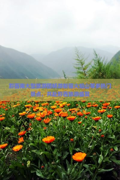 黔西南大型旅游团畅游新疆火焰山等多热门景点，共赴黔西旅游盛宴