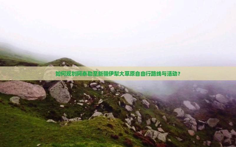 如何规划阿泰勒至新疆伊犁大草原自由行路线与活动？