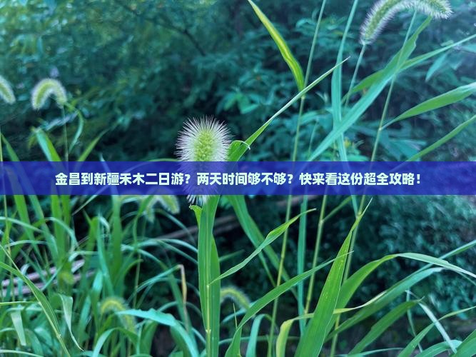 金昌到新疆禾木二日游？两天时间够不够？快来看这份超全攻略！