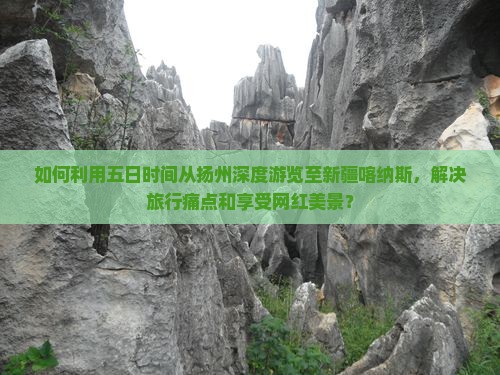如何利用五日时间从扬州深度游览至新疆喀纳斯，解决旅行痛点和享受网红美景？