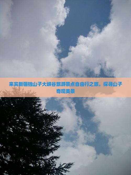 来宾新疆独山子大峡谷旅游景点自由行之旅，探寻山子奇观美景