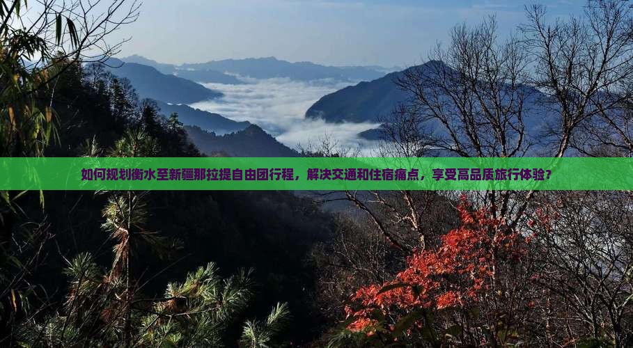 如何规划衡水至新疆那拉提自由团行程，解决交通和住宿痛点，享受高品质旅行体验？
