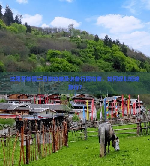 沈阳至新疆二日游攻略及必备行程指南，如何规划短途旅行？