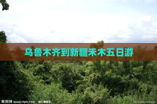 乌鲁木齐到新疆禾木五日游