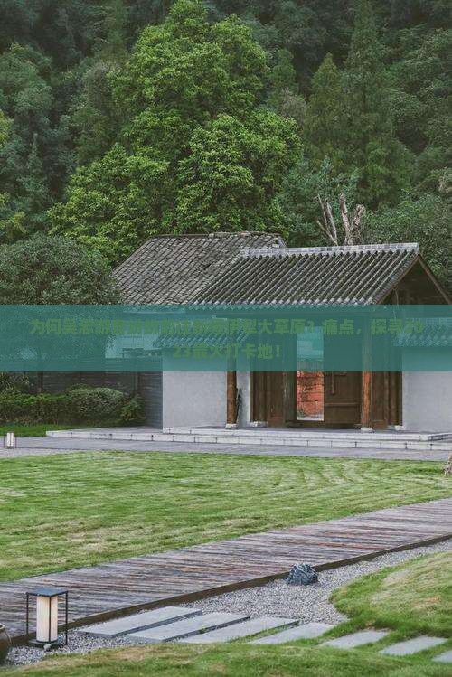 为何吴忠游客纷纷前往新疆伊犁大草原？痛点，探寻2023最火打卡地！
