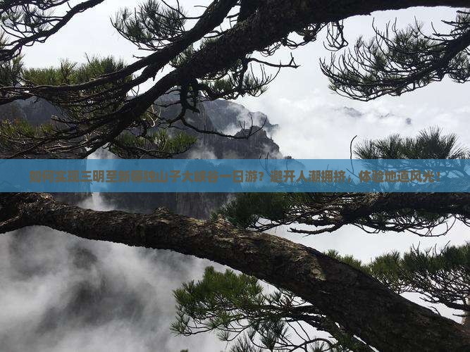 如何实现三明至新疆独山子大峡谷一日游？避开人潮拥挤，体验地道风光！