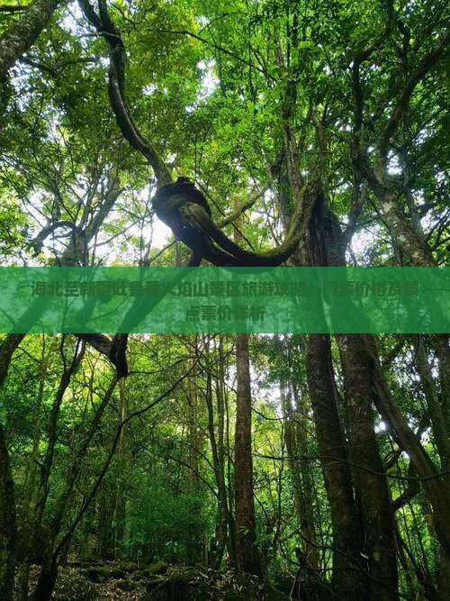 海北至新疆吐鲁番火焰山景区旅游攻略：门票价格及景点票价详析