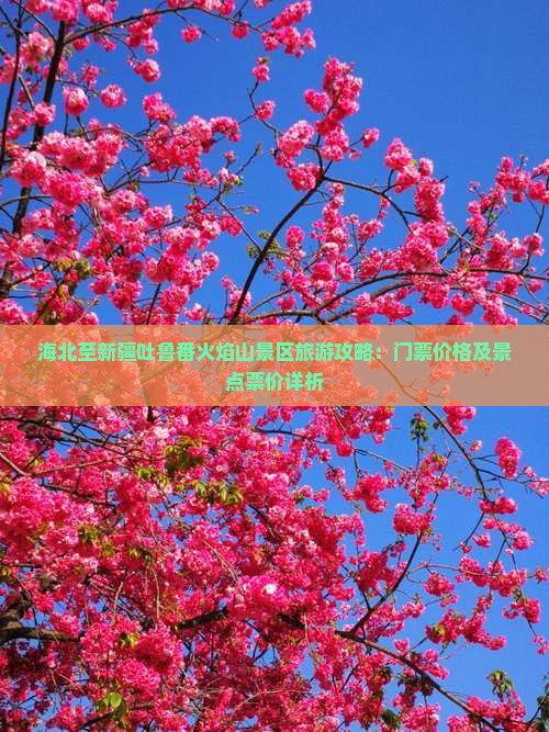 海北至新疆吐鲁番火焰山景区旅游攻略：门票价格及景点票价详析
