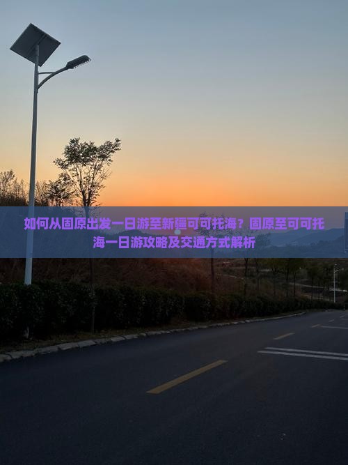 如何从固原出发一日游至新疆可可托海？固原至可可托海一日游攻略及交通方式解析