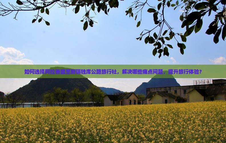 如何选择阿拉善盟至新疆独库公路旅行社，解决哪些痛点问题，提升旅行体验？