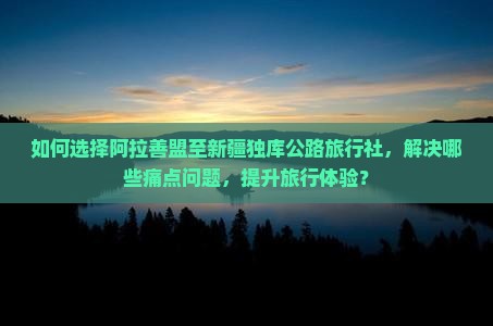 如何选择阿拉善盟至新疆独库公路旅行社，解决哪些痛点问题，提升旅行体验？