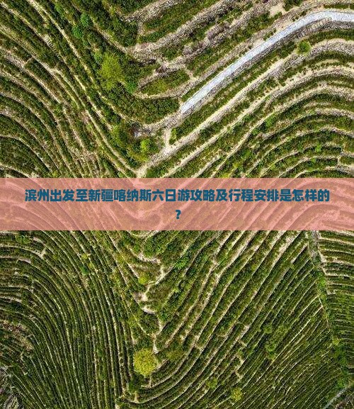 滨州出发至新疆喀纳斯六日游攻略及行程安排是怎样的？