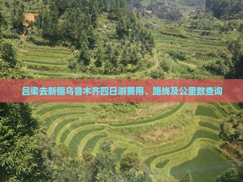 吕梁去新疆乌鲁木齐四日游费用、路线及公里数查询