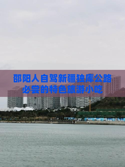 邵阳人自驾新疆独库公路必尝的特色旅游小吃