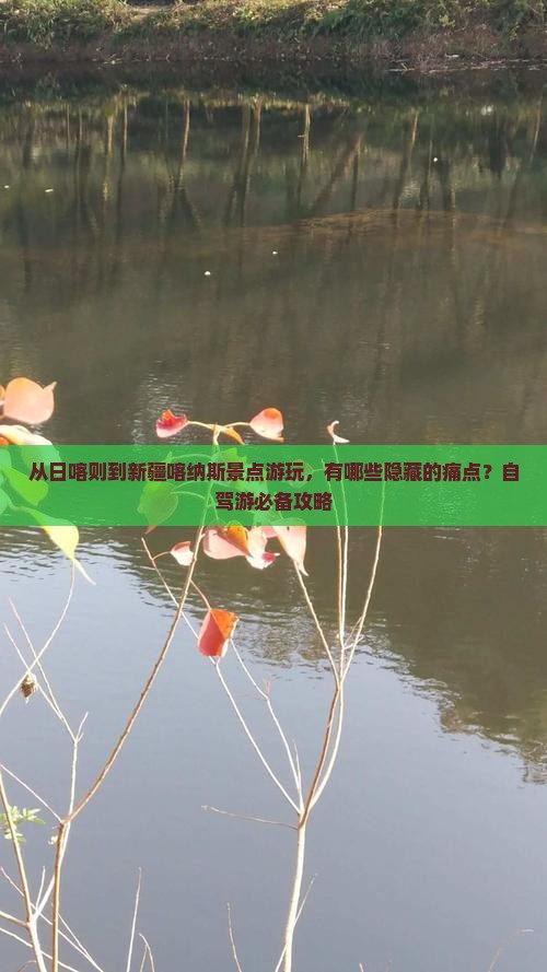 从日喀则到新疆喀纳斯景点游玩，有哪些隐藏的痛点？自驾游必备攻略