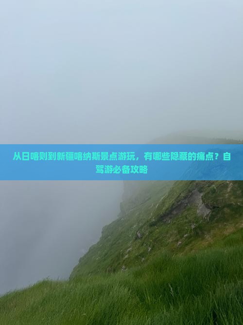 从日喀则到新疆喀纳斯景点游玩，有哪些隐藏的痛点？自驾游必备攻略