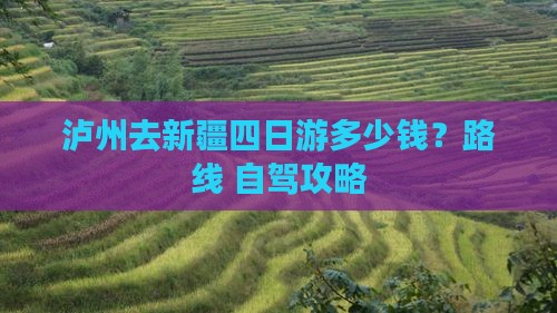 泸州去新疆四日游多少钱？路线+自驾攻略